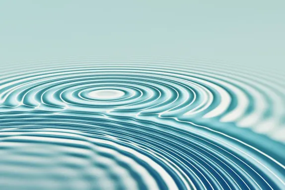 비트4윈 카지노 지원